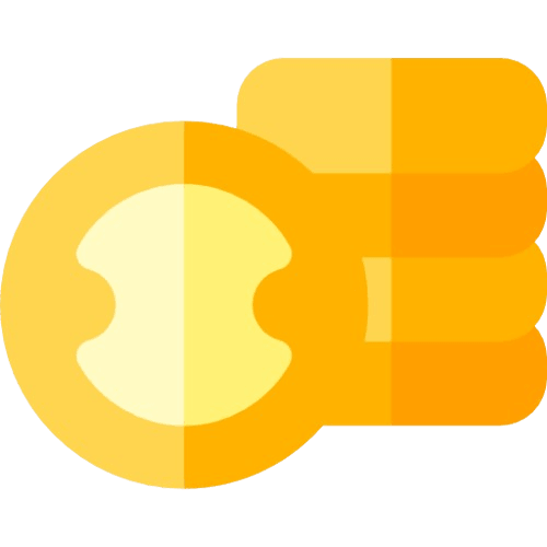 money icon coin